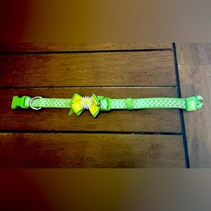 Size medium brand new dog collar. Never worn.